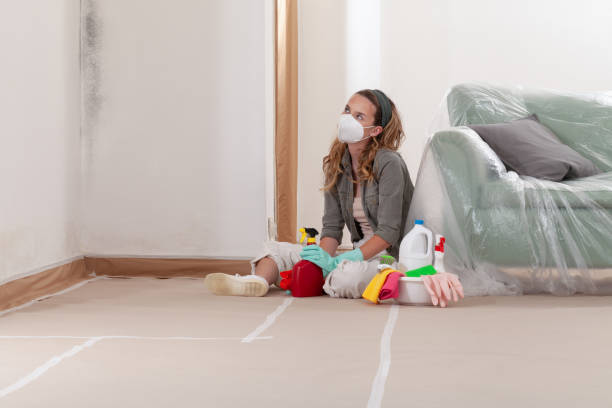Reliable Mold Cleanup contractor in Union City, PA by Cheap Mold Removal